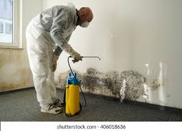 Why You Should Choose Our Mold Remediation Services in Seeley, CA